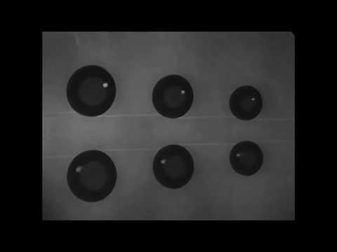 Borgie & malbeku - Mythology In Numbers (Official Video)