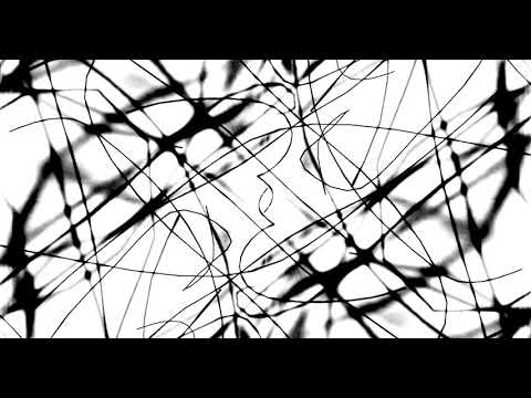 Phonic Request vs  Principles of Flight  - French mad cook