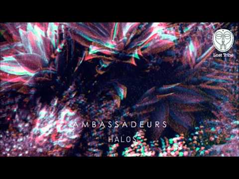 Ambassadeurs - Kava