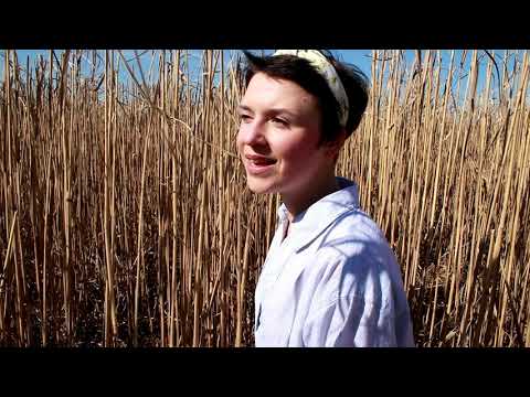 Melissa Rohleder - Glück auf Asphalt