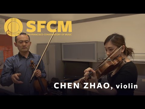 Chen Zhao, Violin