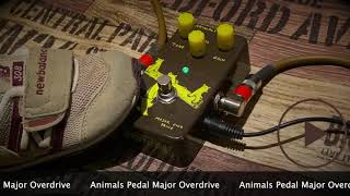 Animals Pedal Major Overdrive - What To Know & Where To Buy