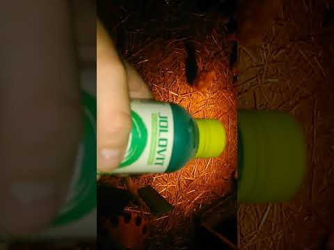 Kis csibék #2 rész