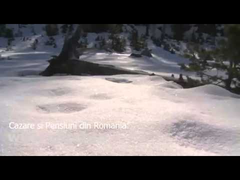 Cazare Homojdia, Timis - Cazat.ro