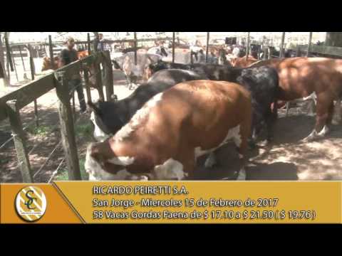 15-02-17 Venta de Vacas y Novillos Gordos - Ricardo Peiretti S.A. - San Jorge.