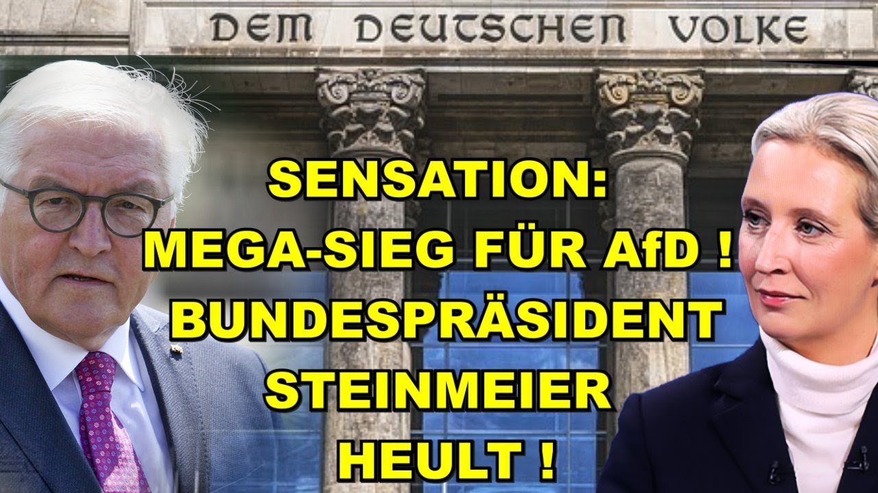 MEGA-SIEG für AfD! STEINMEIER HEULT!