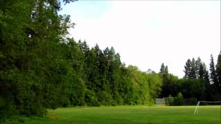 Nature in Action (ft. Piano)