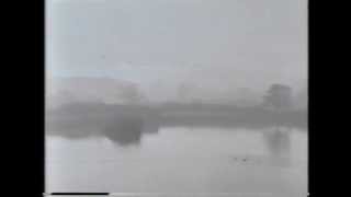 Wolfgang Press - Cut the Tree