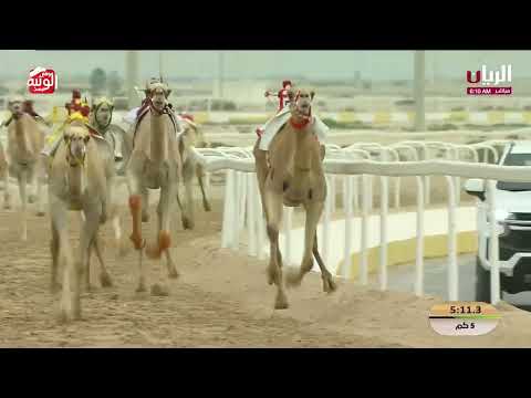ش 5 (مفاجئه) لـ مبارك محمد علي الجربوعي المري 7:37:27 , مهرجان ختامي الشحانية 2026/04/21 لقايا