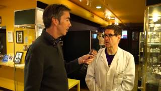 Wild Travels at the Mustard Museum