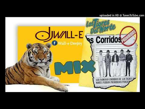 MIX TIGRES DEL NORTE (Corridos Prohibidos) - Wall-e Dj