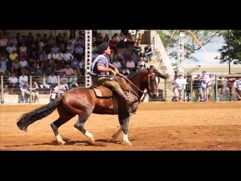 3º lugar:machos Cosechero do Purunã