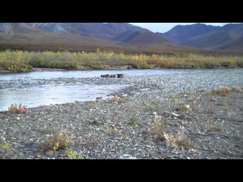 Kelly River, Alaska I