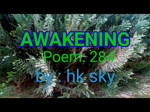 AWAKENING: Poem: 284