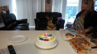 GSD helps sing Happy Birthday