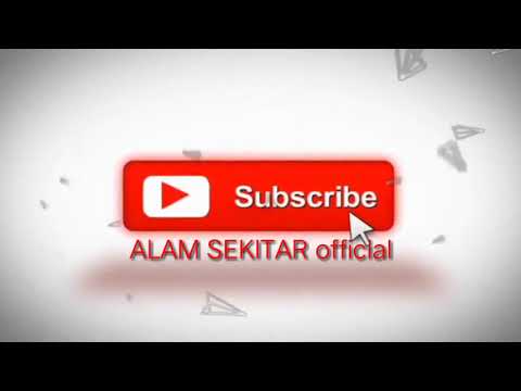 PONDOKKU TERCINTA MAMBAUL ULUM BATA-BATA