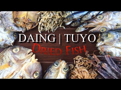 DAING | TUYO | DRIED FISH from Pagadian City | V24