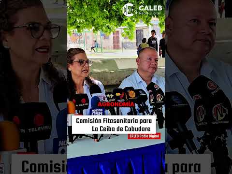 ​🌳 ¡UN PLAN PARA SALVAR NUESTRA HISTORIA! Comisión Fitosanitaria evaluará la Ceiba de Cabudare 🇻🇪✨