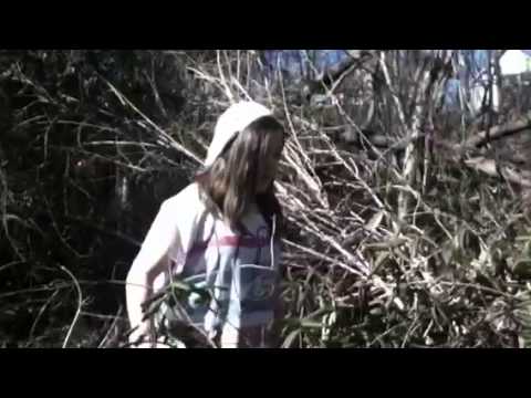 Everything has changed( music video)