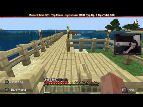 Minecraft  Chill Stream  Feb  21, 2019 pt1   Storage Expansion and SKELETON HORSEMEN ! !