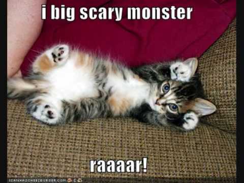 CHA CHA CHA FREESTYLE - EZONIC FT YUNG TRIGGA