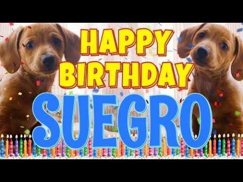 Happy Birthday Suegro! ( Funny Talking Dogs ) What Is Free On My Birthday
