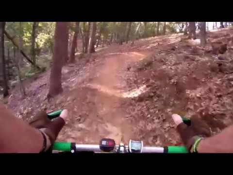 McClellan New Trail Number 1 with Pied Piper