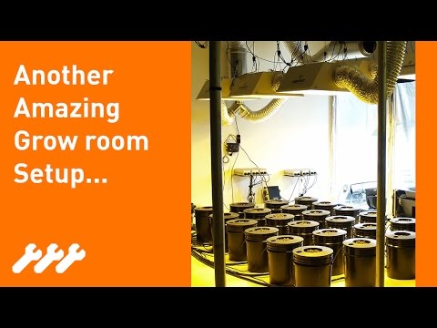 Megarooms! How to setup an amazing indoor Hydroponic grow room #22