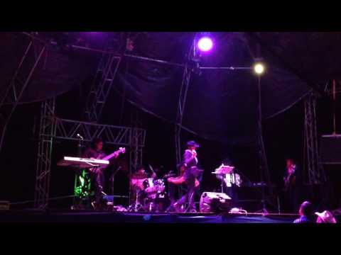 Zumbido al límite !! La gritera!!!