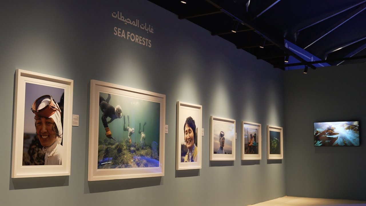 Image for the title: Youtube-Image