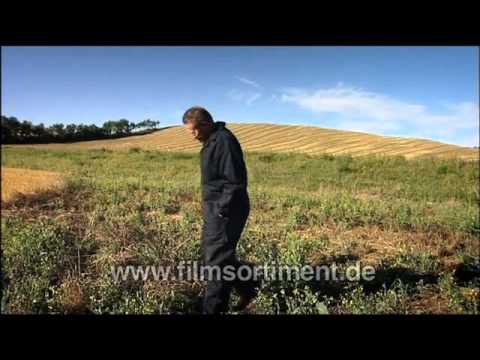 Gentechnik-Gegener: PERCY SCHMEISER - DAVID GEGEN MONSANTO (Schulfilm-Vorschau)