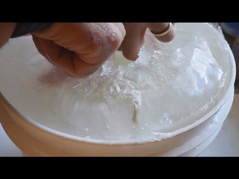 download lagu mp3 mp4 Concentrated Maple Syrup, download lagu Concentrated Maple Syrup gratis, unduh video klip Concentrated Maple Syrup