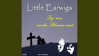 Sag&#39; mir, wo die Blumen sind