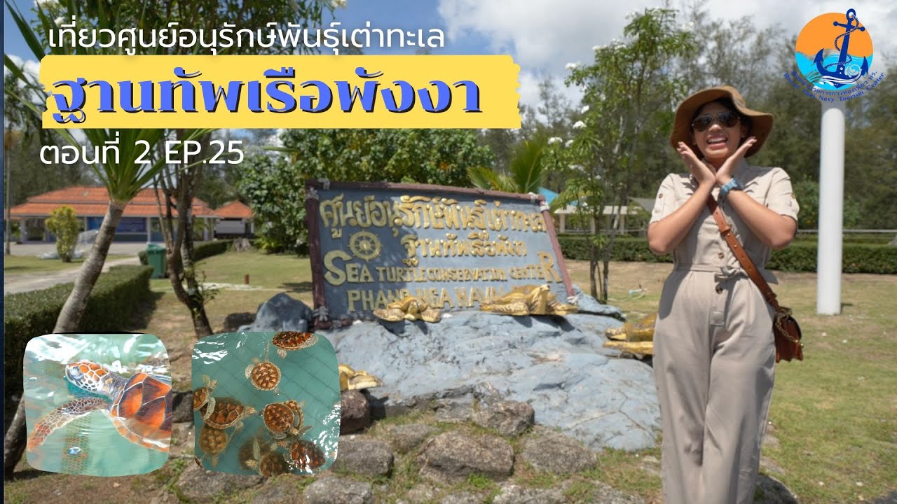 บ่ออนุบาลเต่า กองทัพเรือภาค3
