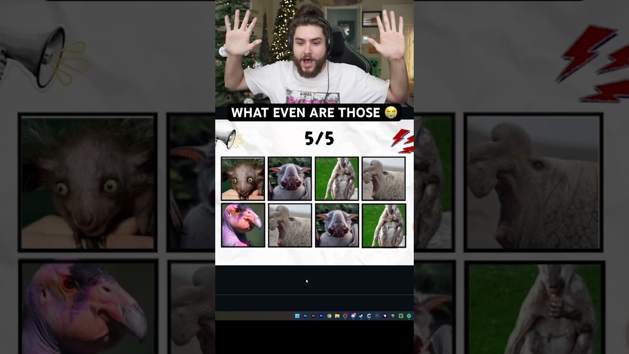 WHAT AM I LOOKING AT???