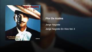 Flor de Azalea Music Video