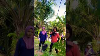 Download lagu #musiklucu #masukberanda #musikhiburan #hiburansegar #dance #beranda #covermusiktop #dangdut mp3