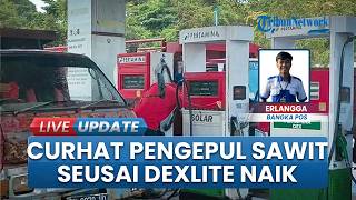 Curhat  Pengepul Sawit di Babel yang Tercekik BBM, Codet Minta Sopir Truk Balik Kanan