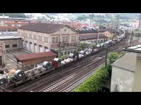 Doppia trazione di caimani