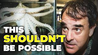 Octopuses Are Doing Something Very Weird