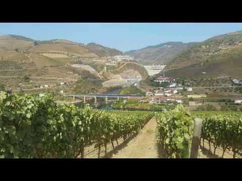 Comboio Especial n.º 13511 (The Presidential - Douro) - Tua