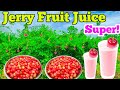 ஜெர்ரி பழம் Tasty Healthy Juice Jerry Fruit Juice Body Health Juice Make