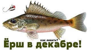 На что ловят ерша зимой
