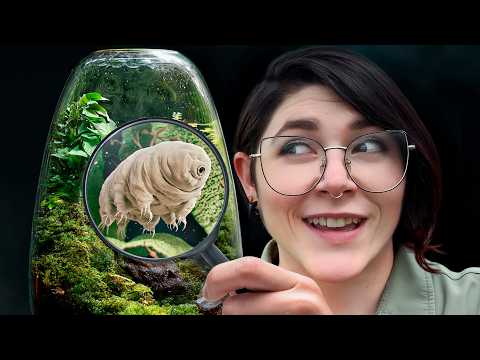 So finden Sie Ihre eigenen Bärtierchen