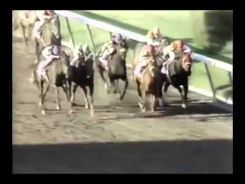 1987 Florida Derby