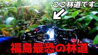 カブで行く場所じゃない！日本最恐の極悪廃道「甲子林道」をハンターカブで完全走破！（CT110＆CT125）