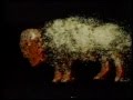 Classic Sesame Street Animation B For Buffalo