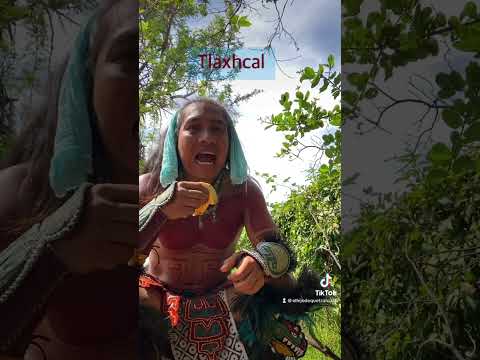 Sabes cómo se dice tortilla en náhuatl? #aztec #indigenous #nativeamerican #native #danzaazteca #fyp