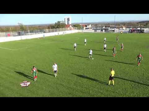 11. SLZ OFK Mihajlovac - Sloga P 2:1