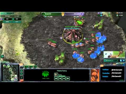 Winning in 40APM or Less: Holding Cannons at the Natural (ZvP)